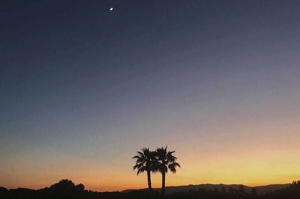 d05b4b01-59a5-49ff-b9e6-258fe3cb6791.jpg