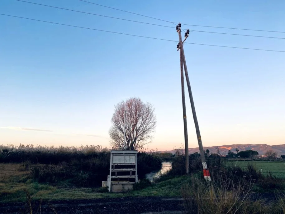 CEREBROS SIN PROVECHO 