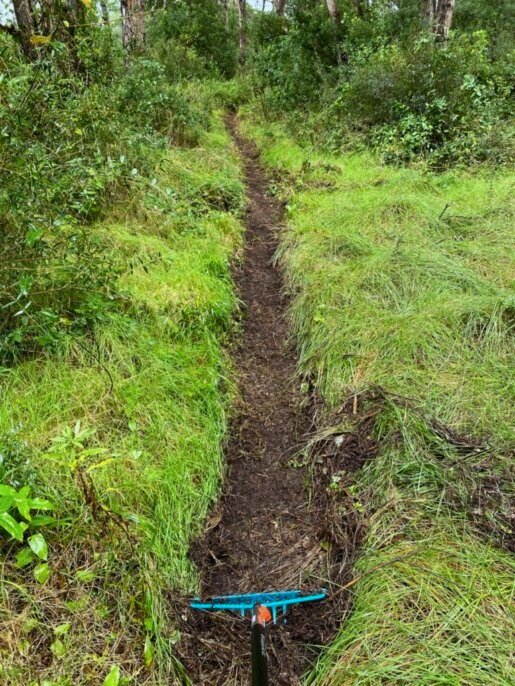 RECUPERANDO UN CIRCUITO DE ENTRENAMIENTO