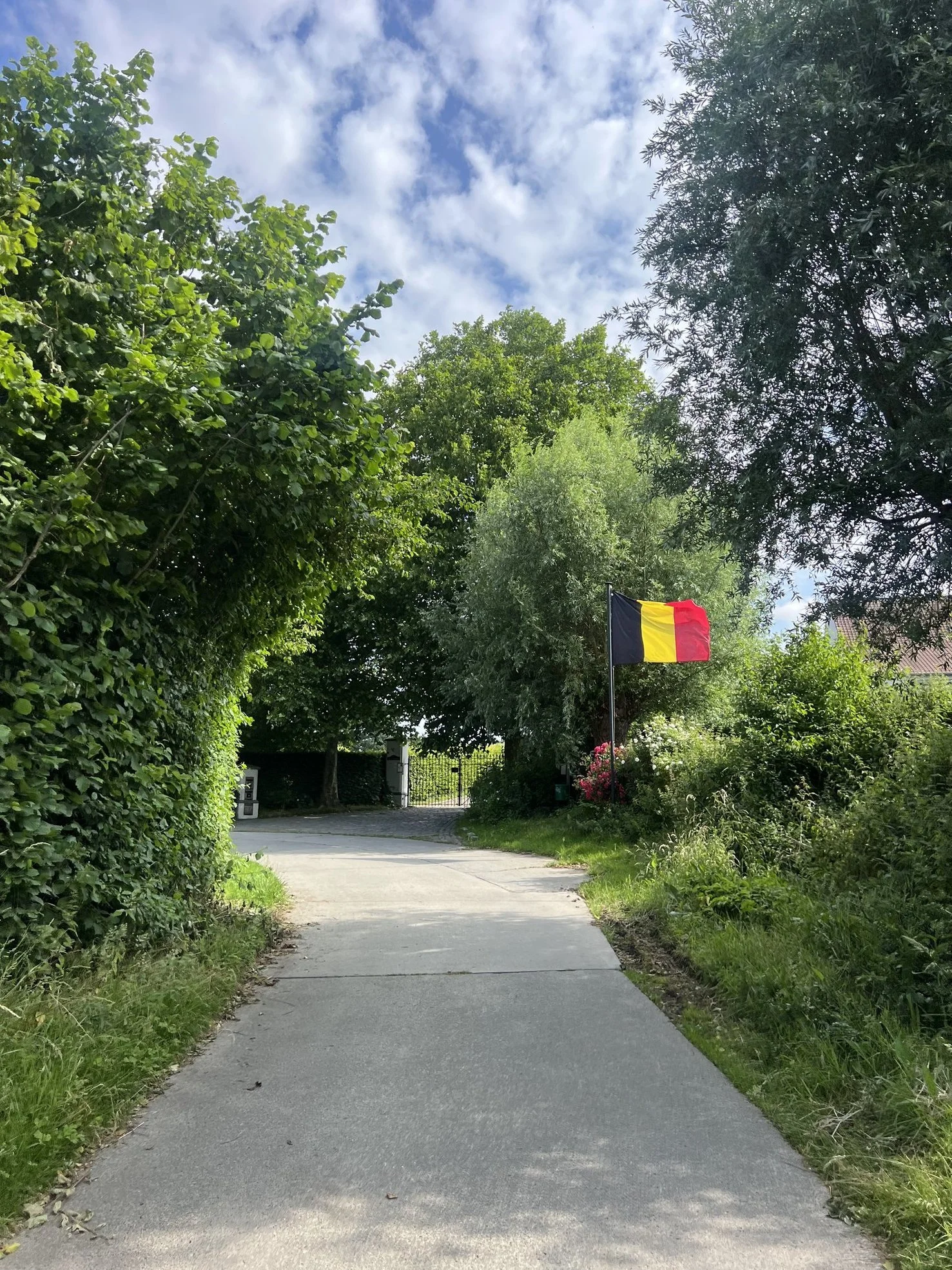 DÍAS LLENOS DE FANTASMAS