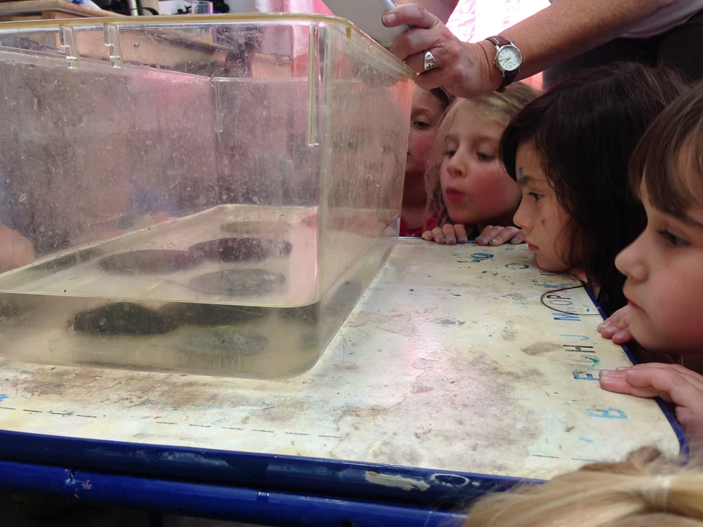 2016-08-18 14.17.36.JPG