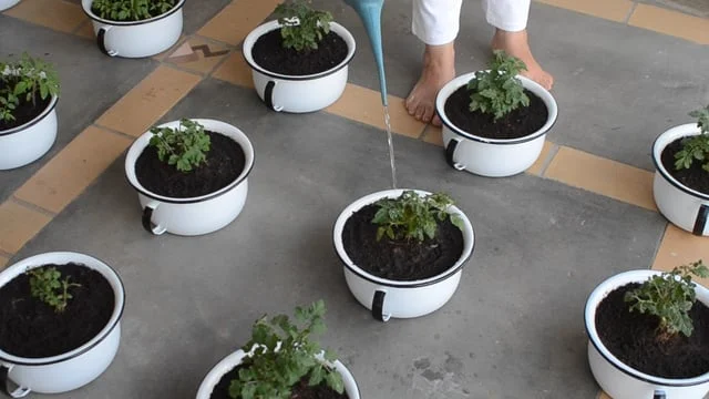 Desatando os Nós (Copy)