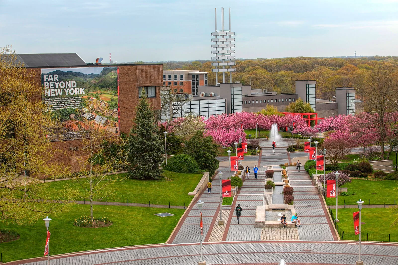 SBU flowering trees.jpg