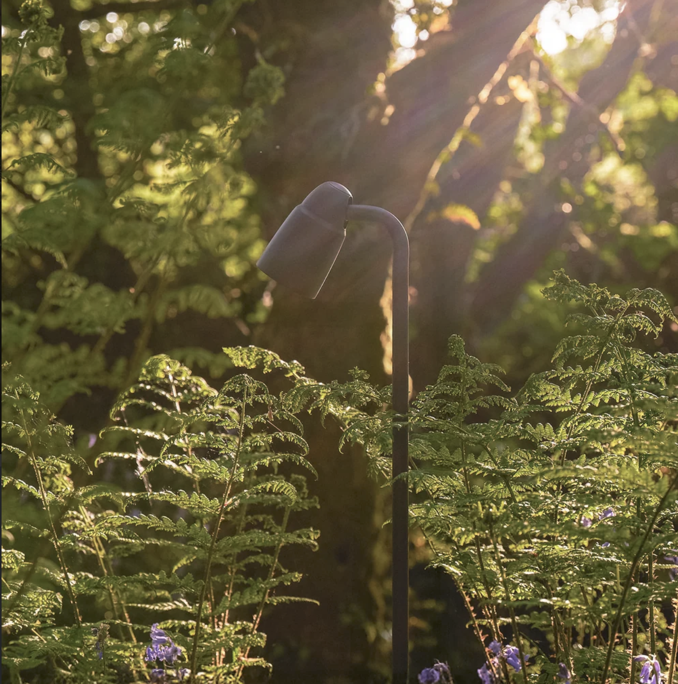 Ealing Path Spotlight | Bronze