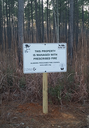 Prescribed Burning