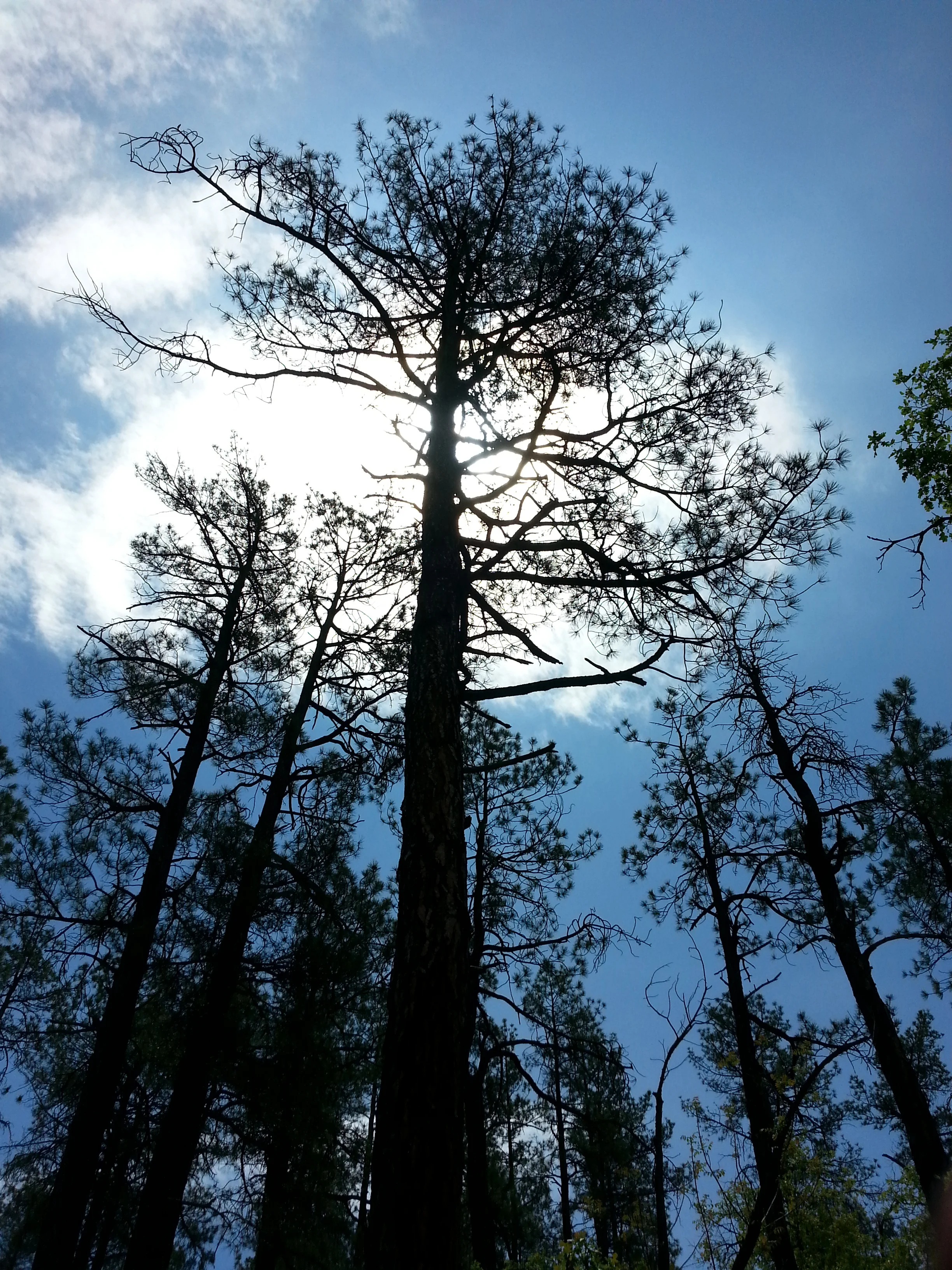 20150608_105620.jpg