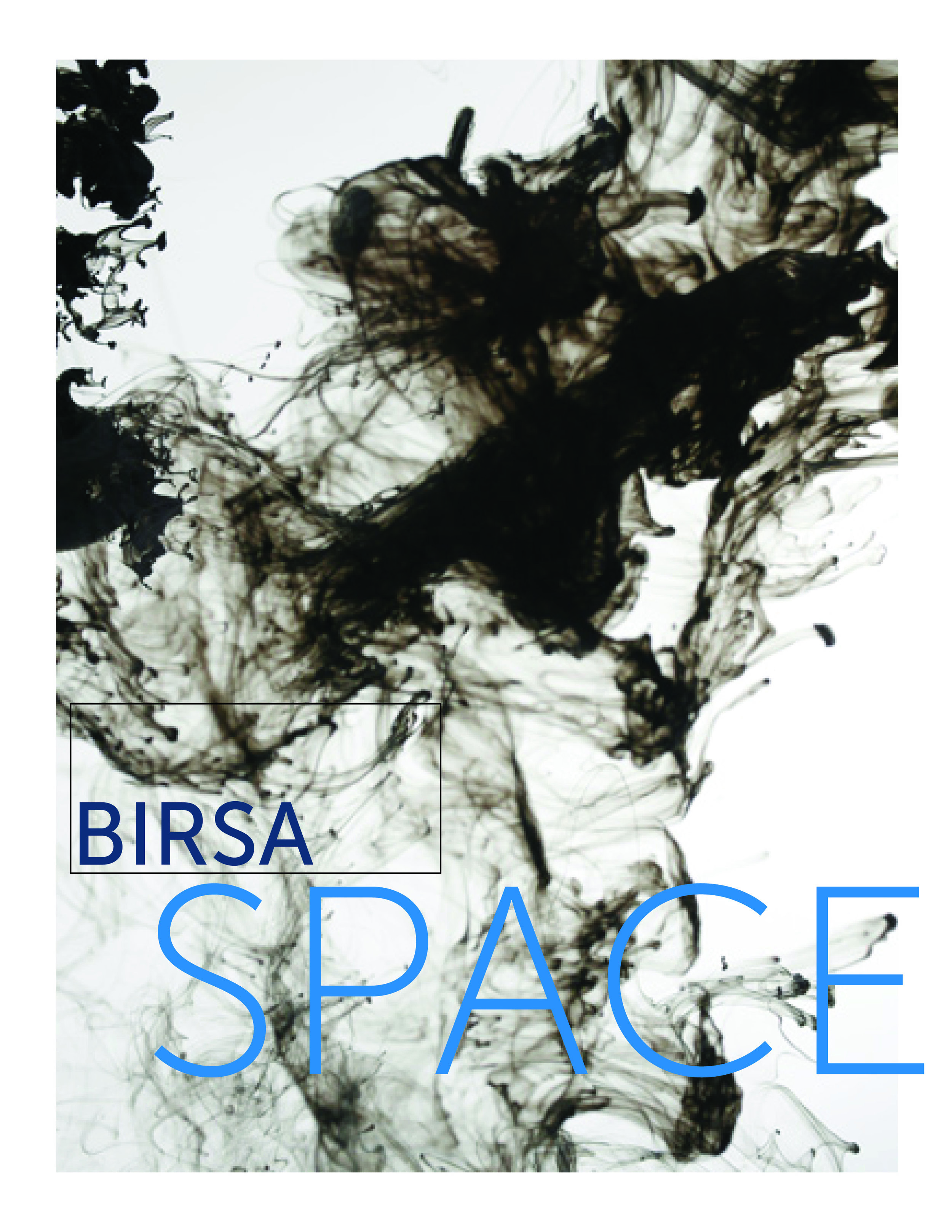 BirsaSpaceLogo2.jpg