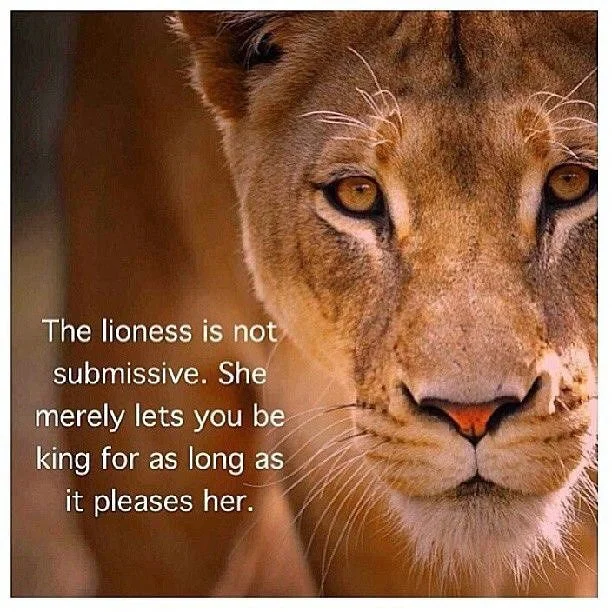 lion.jpg