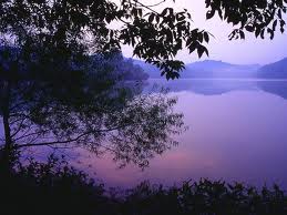 Image the animal orchestra as dawn rises over a lake.