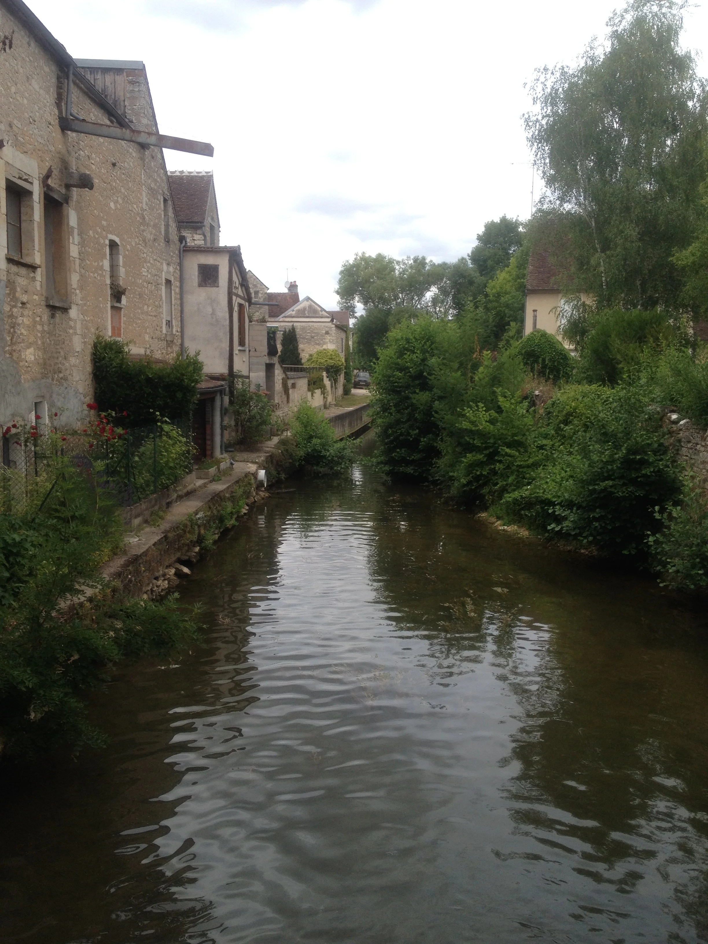 chablis riverserein.jpg