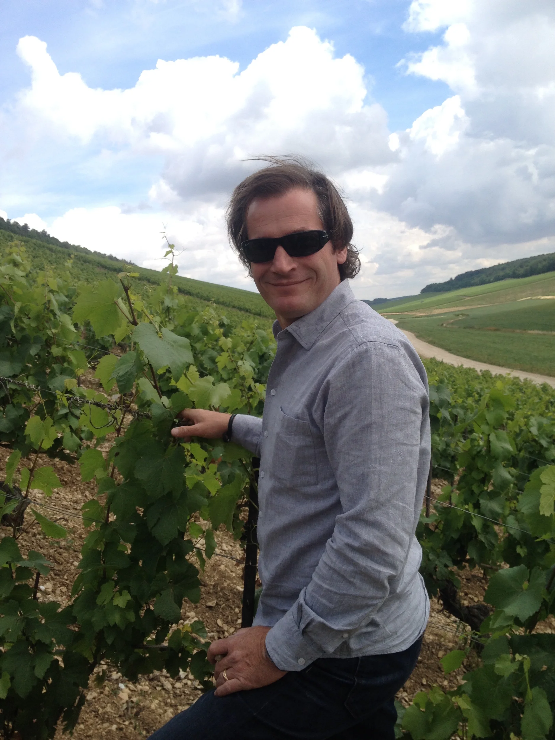 Chablis vineyardSeb copy.jpg