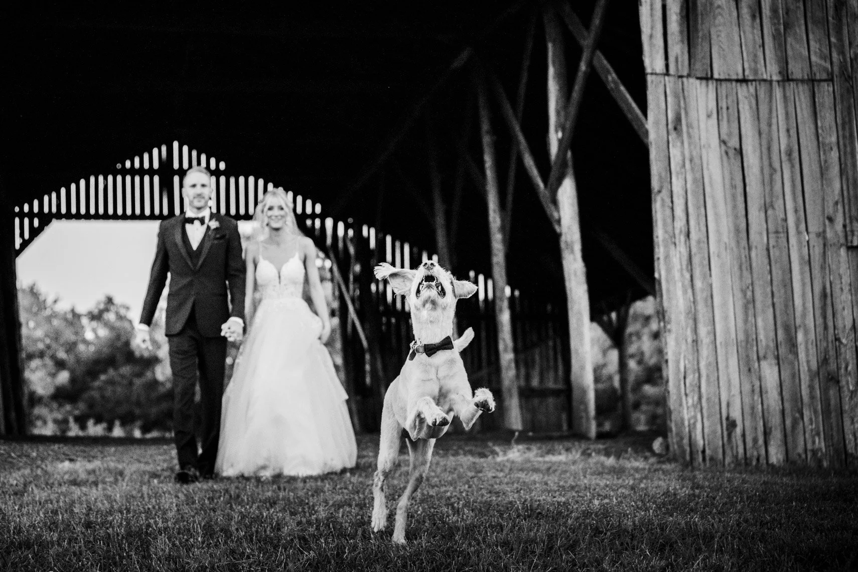 lkwedding-164.jpg