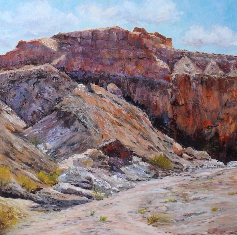 Colours Of The Desert