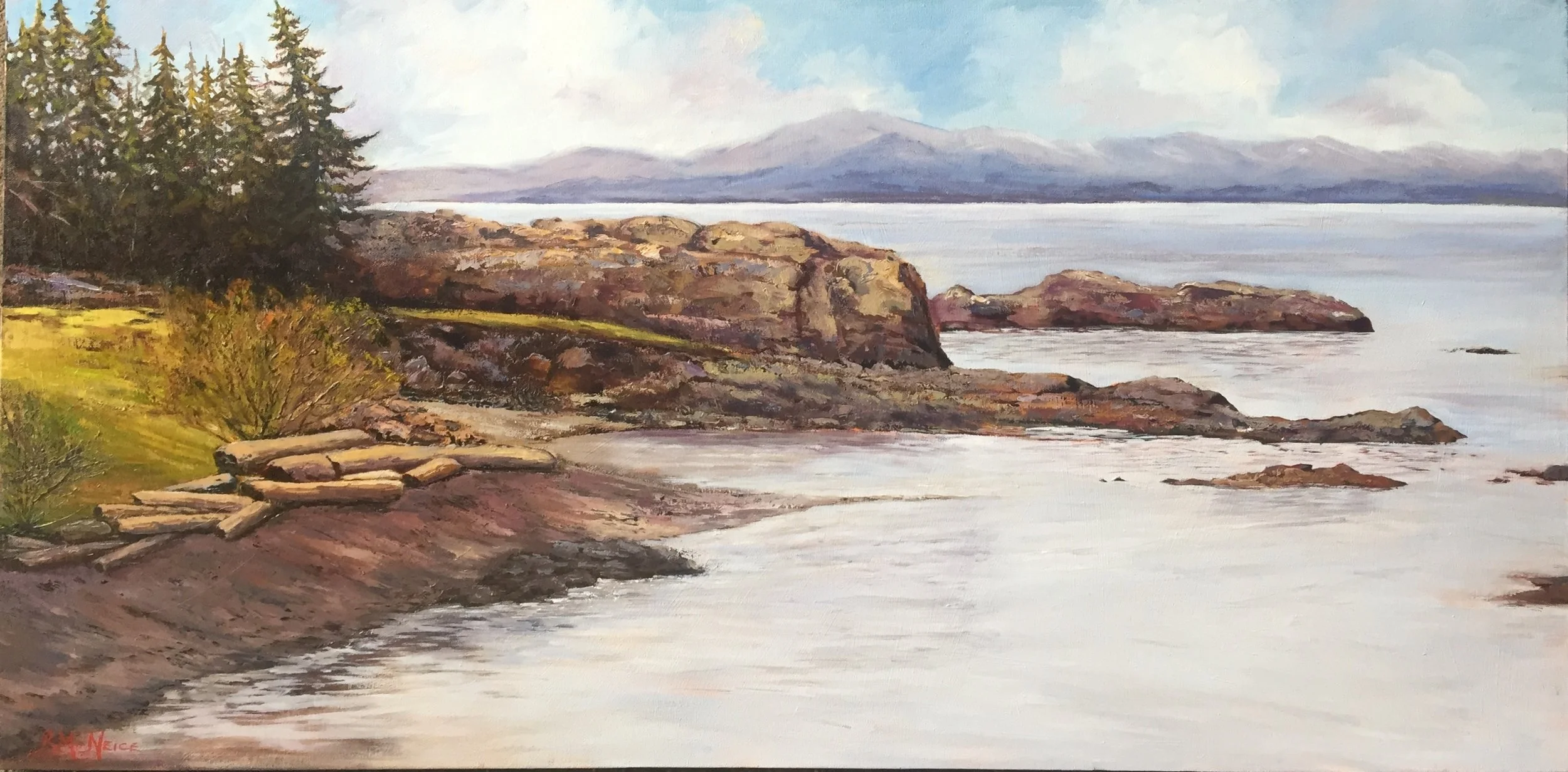 Neck Point