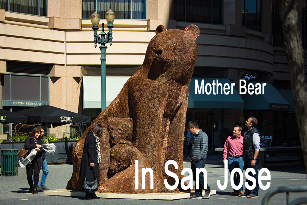 Mother Bear San Jose copy.jpg