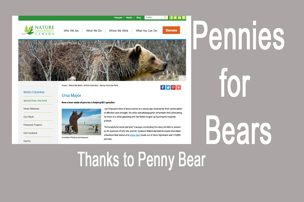 Penny Bear Saves bears copy.jpg
