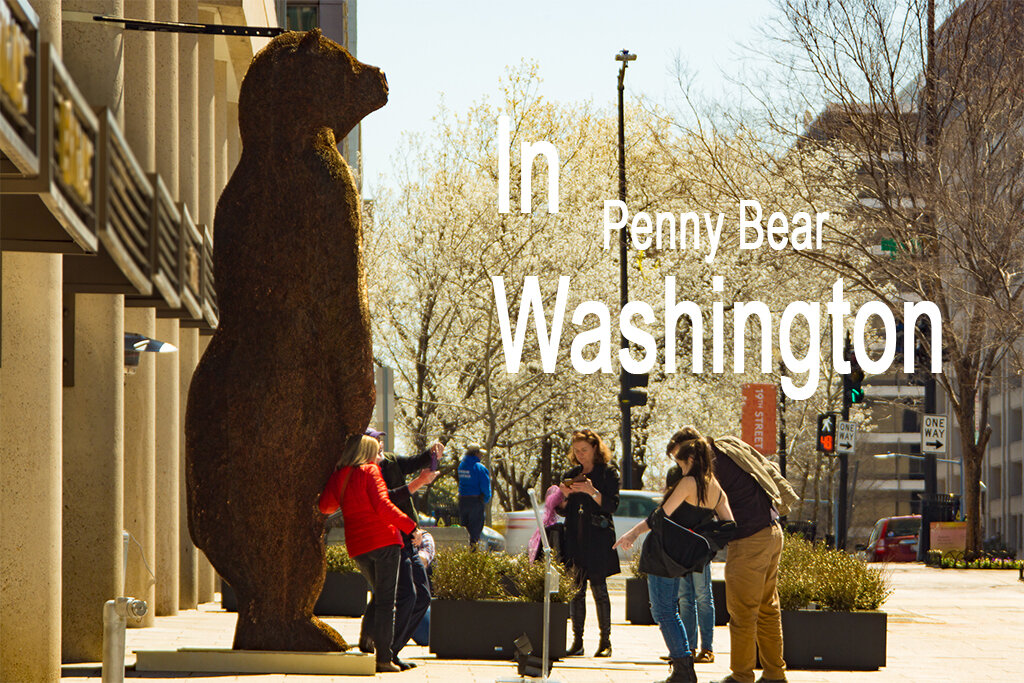 Penny Bear Washington copy.jpg