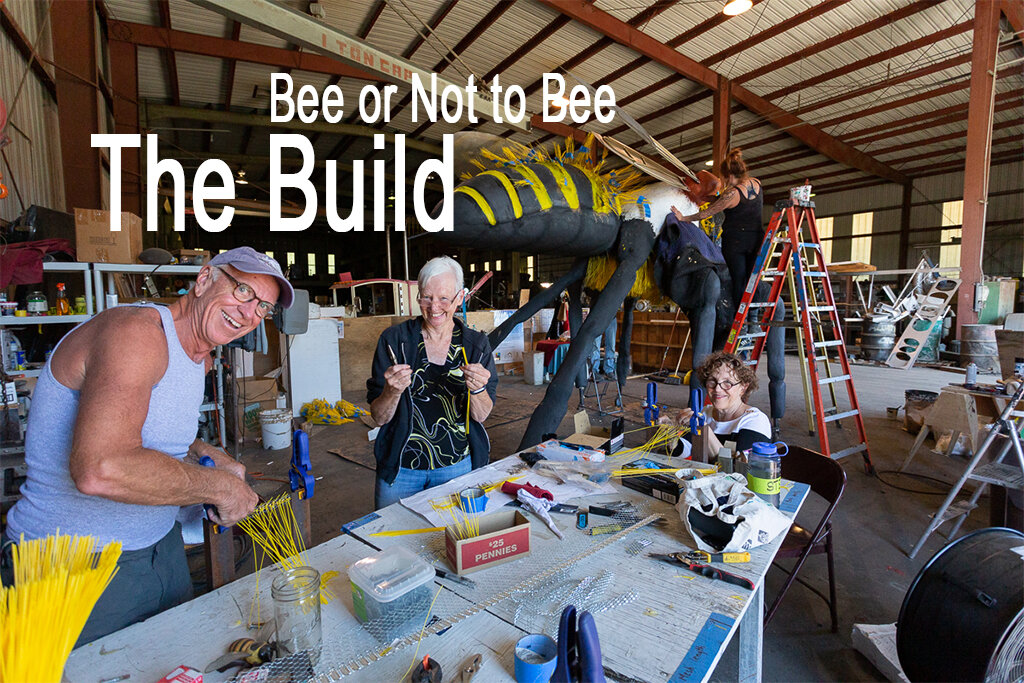 Bee build..jpg