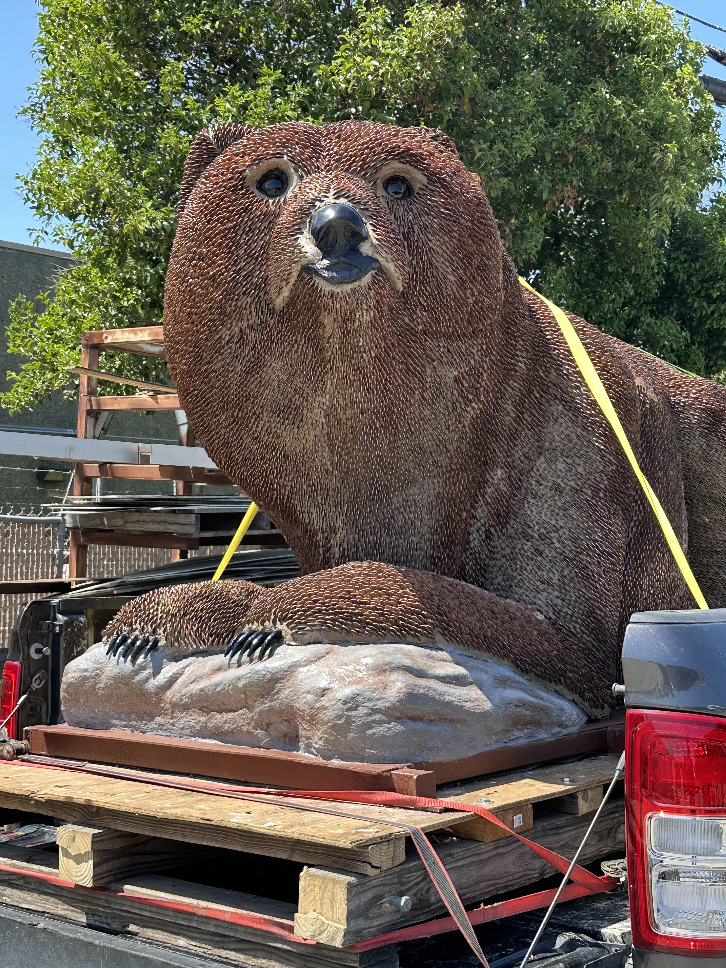 Cleaned up and ready for Mill Valley