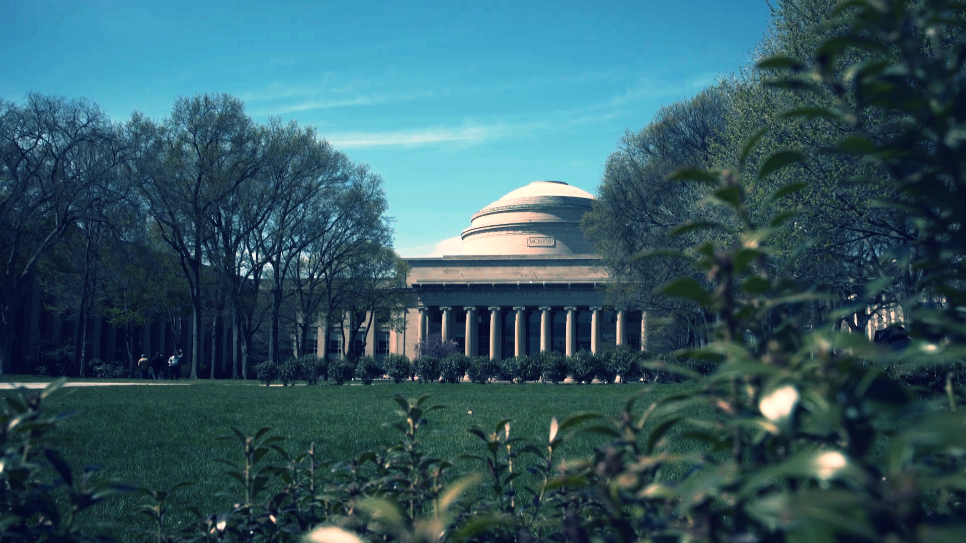 MIT // Open Courseware