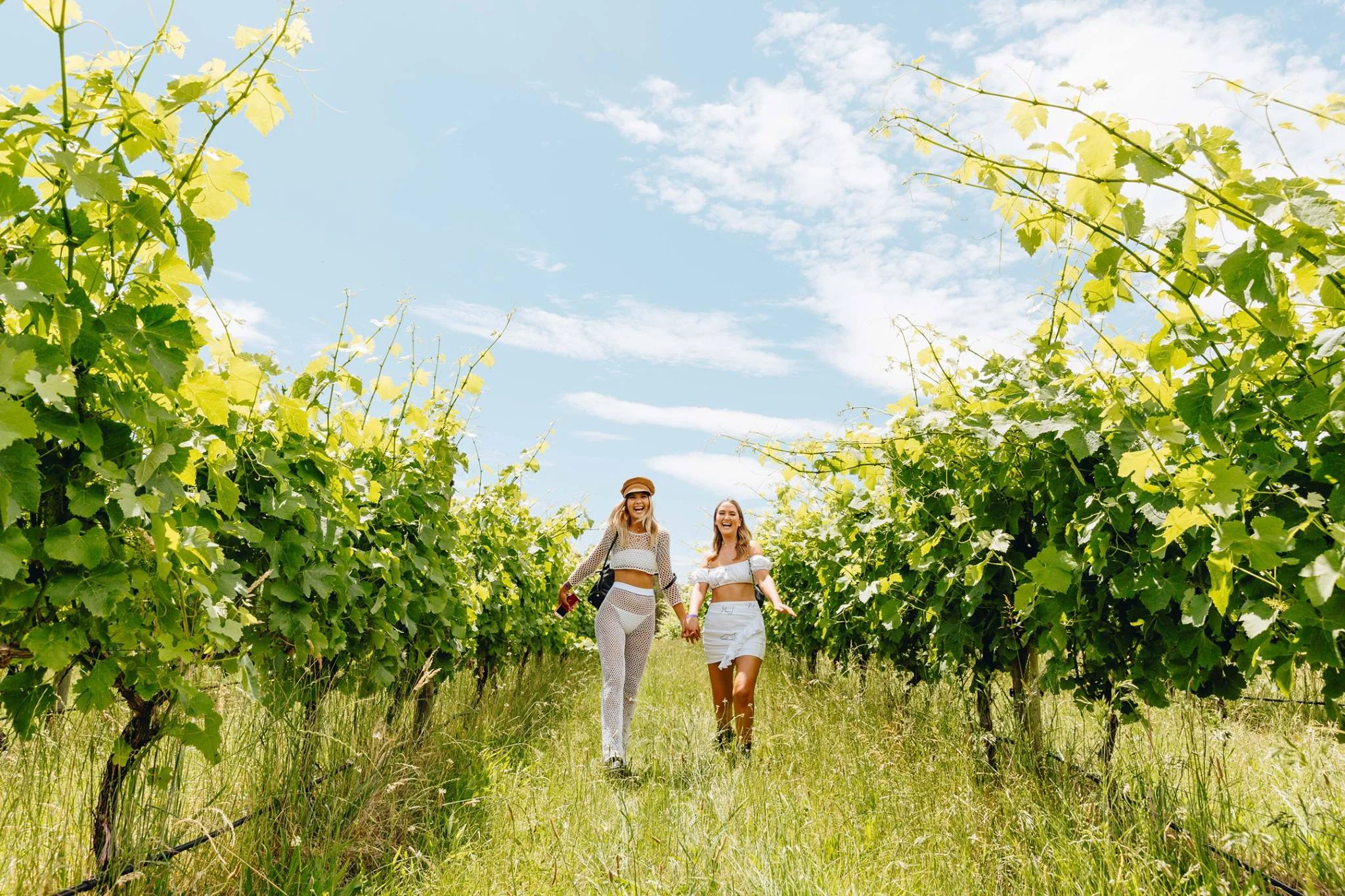 girls in vineyards.jpg