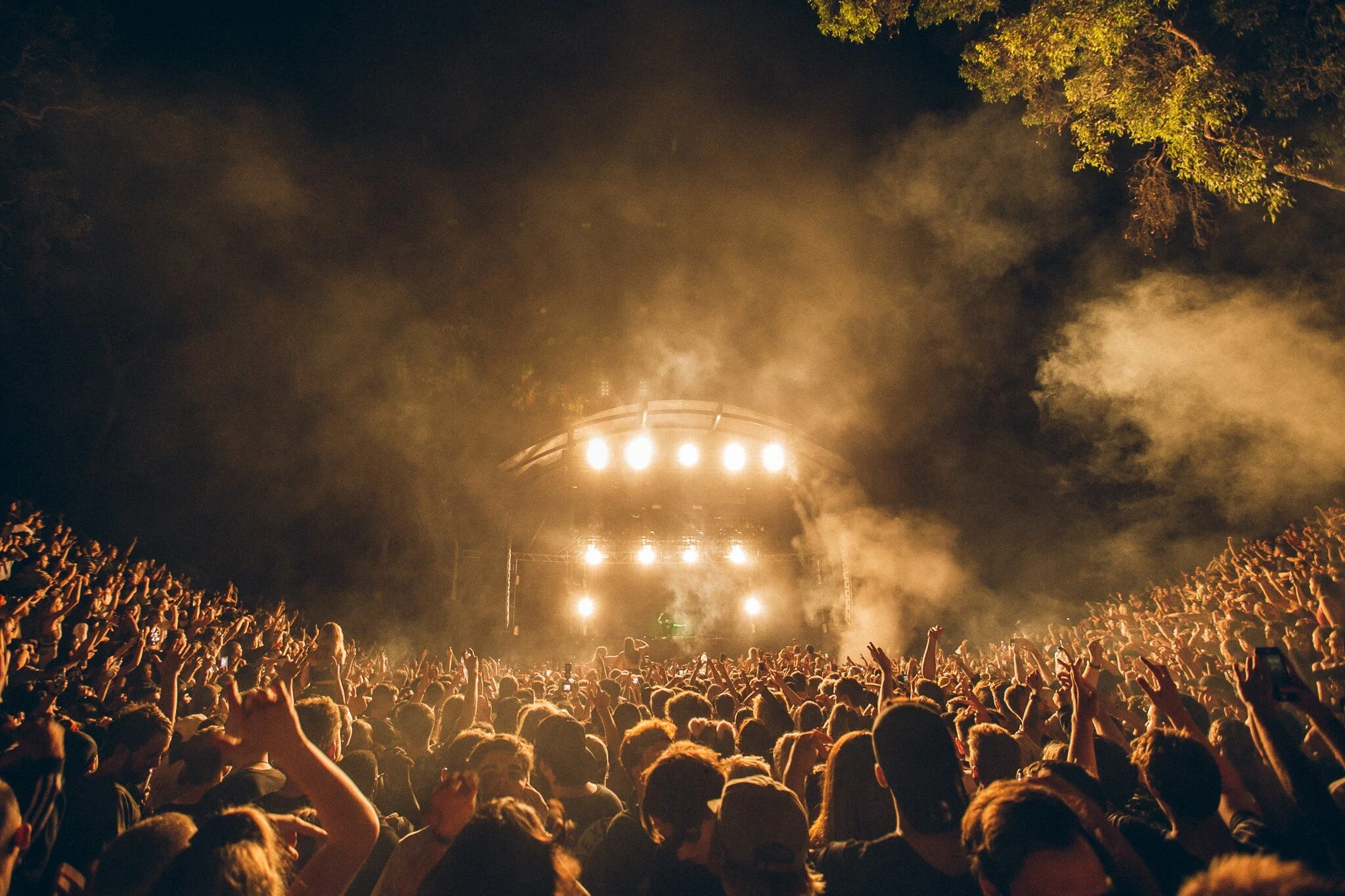 Touch Bass 2020 Lineup!