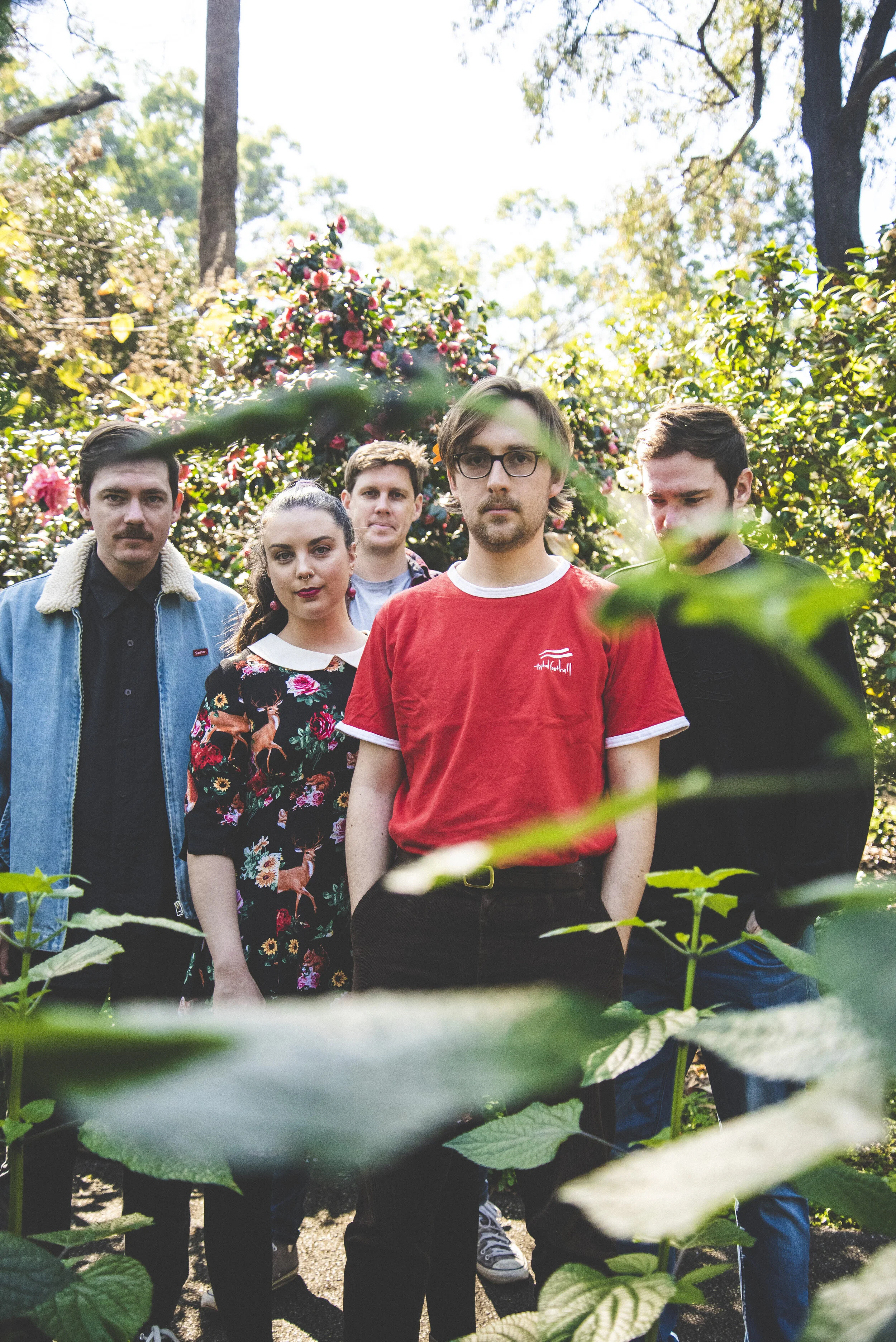 Ball Park Music Brisbane Shows