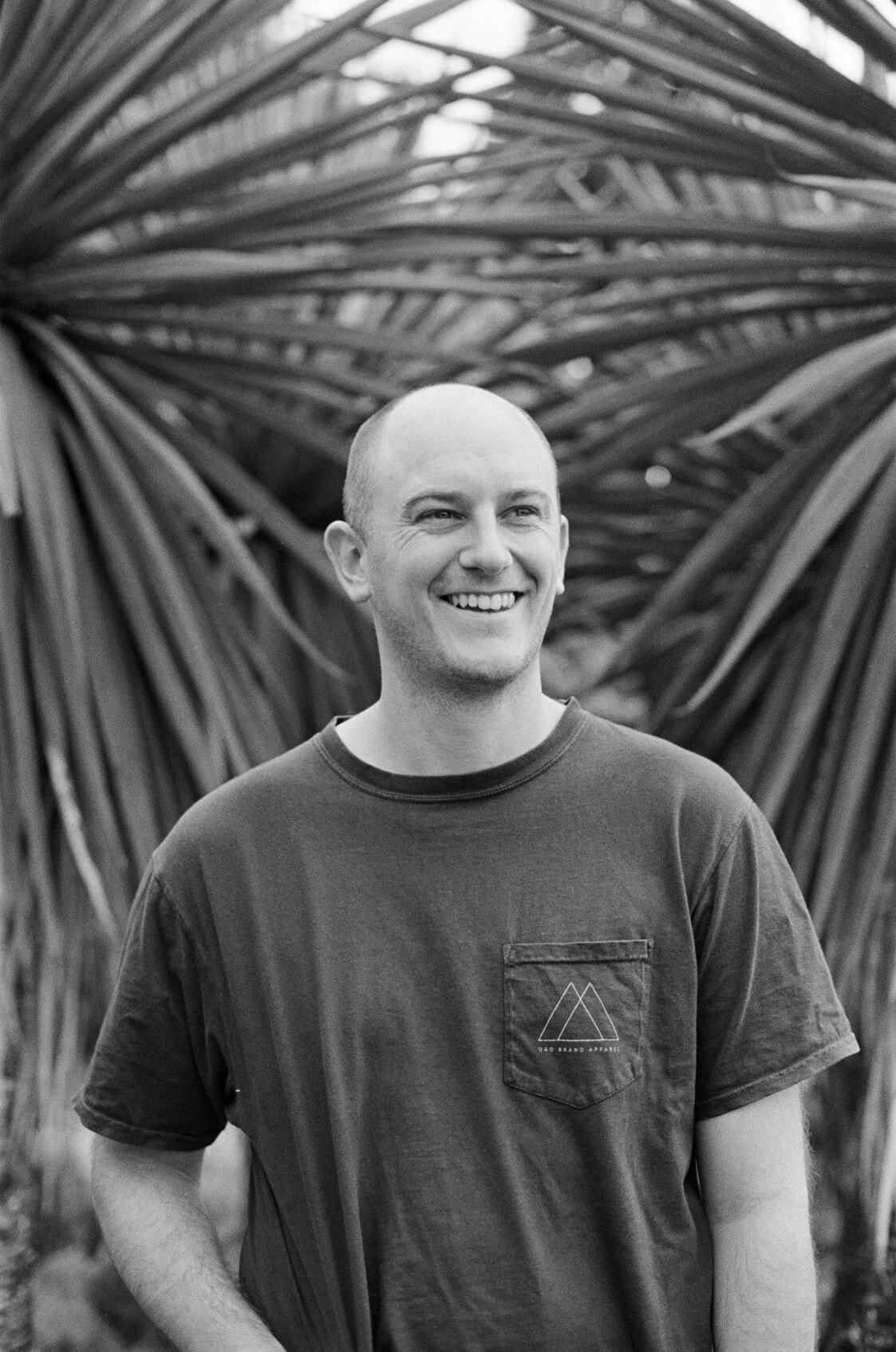 Stage 4 Lockdown, Taylor Swift and a vulnerable new single from Ed Hawke.