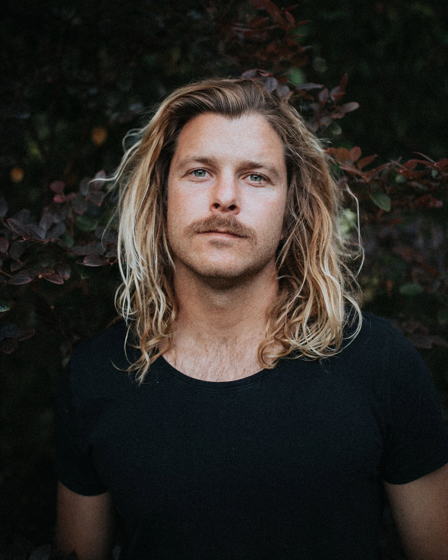 What does the future hold for Mammals? 