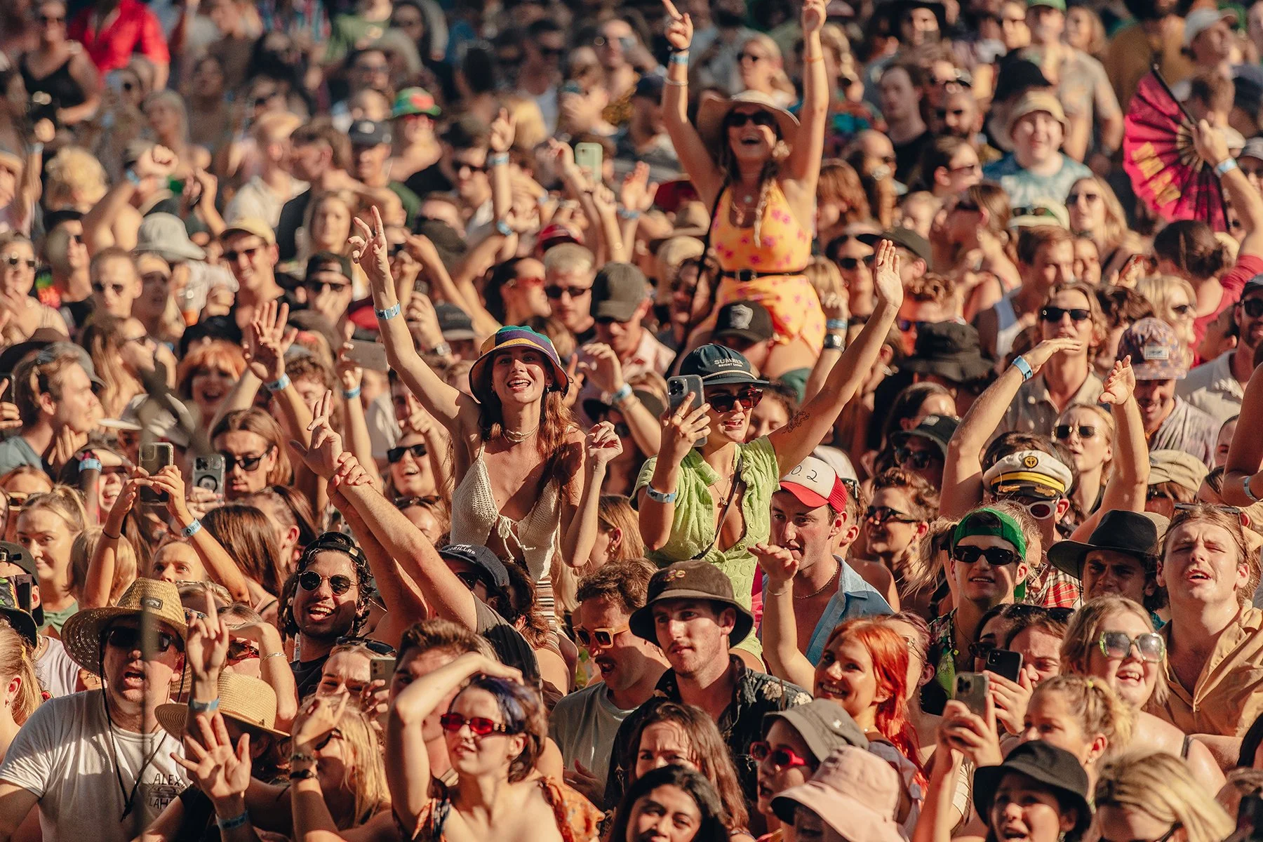 THIS THAT Line Up Announcement