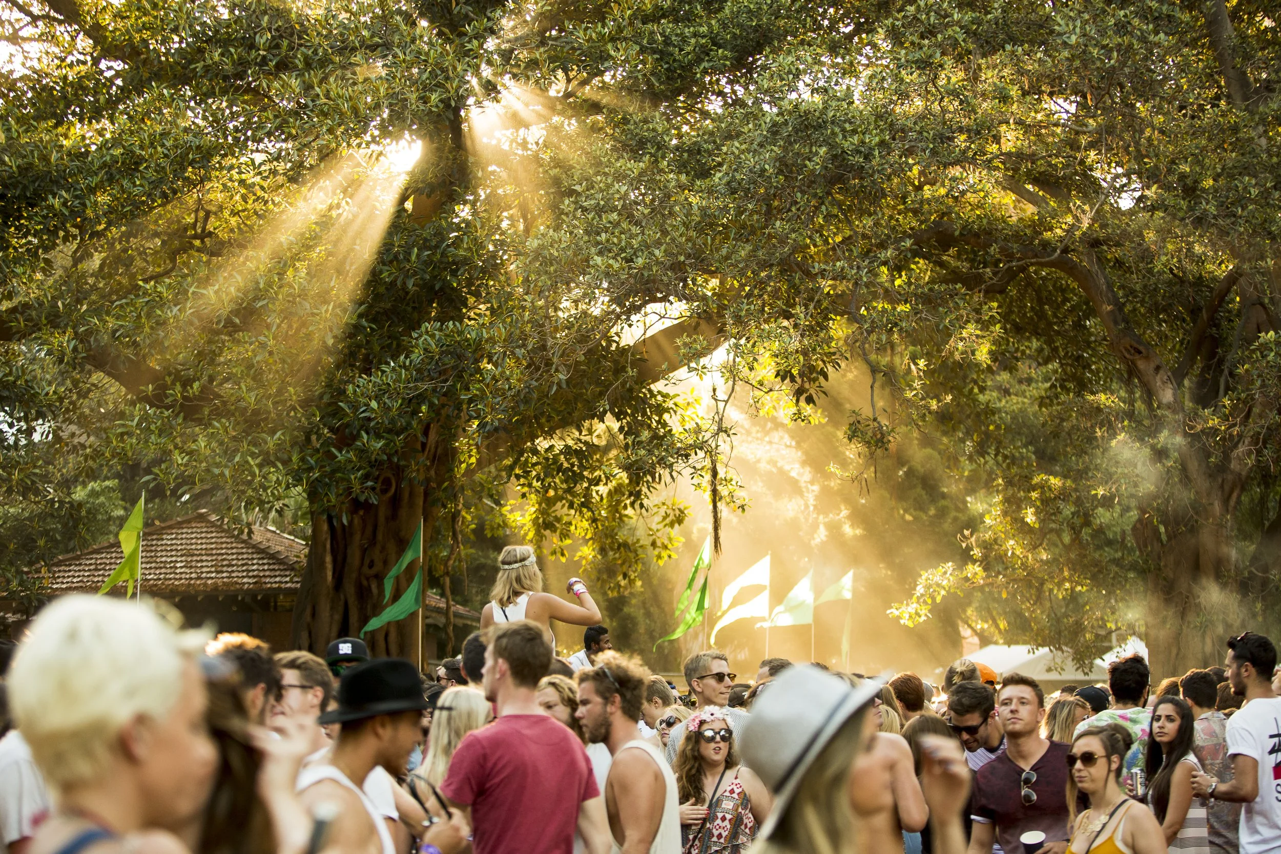 FIELD DAY LINEUP ANNOUNCE 