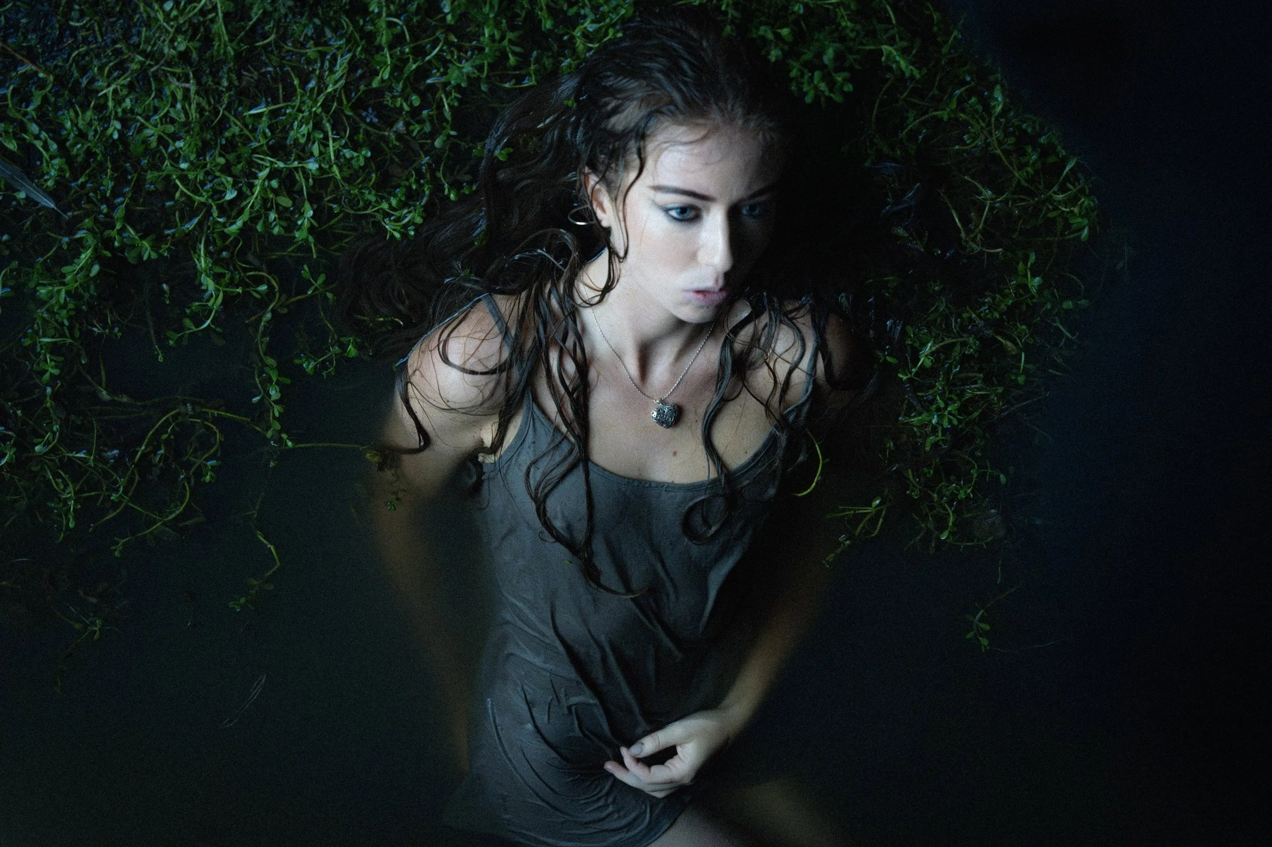 A Quick Chat with Darcie Haven