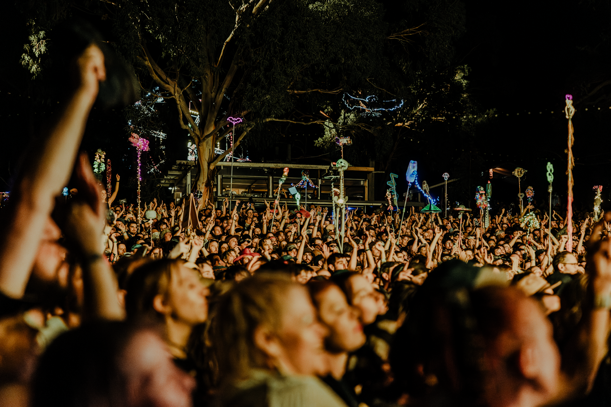 The 33rd Annual Meredith Music Festival