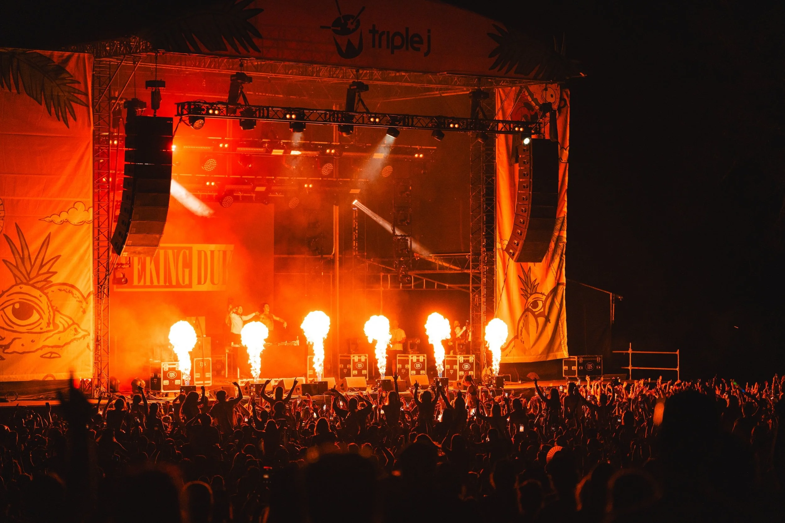 Big Pineapple Festival 2025 – 10 Year Anniversary Edition