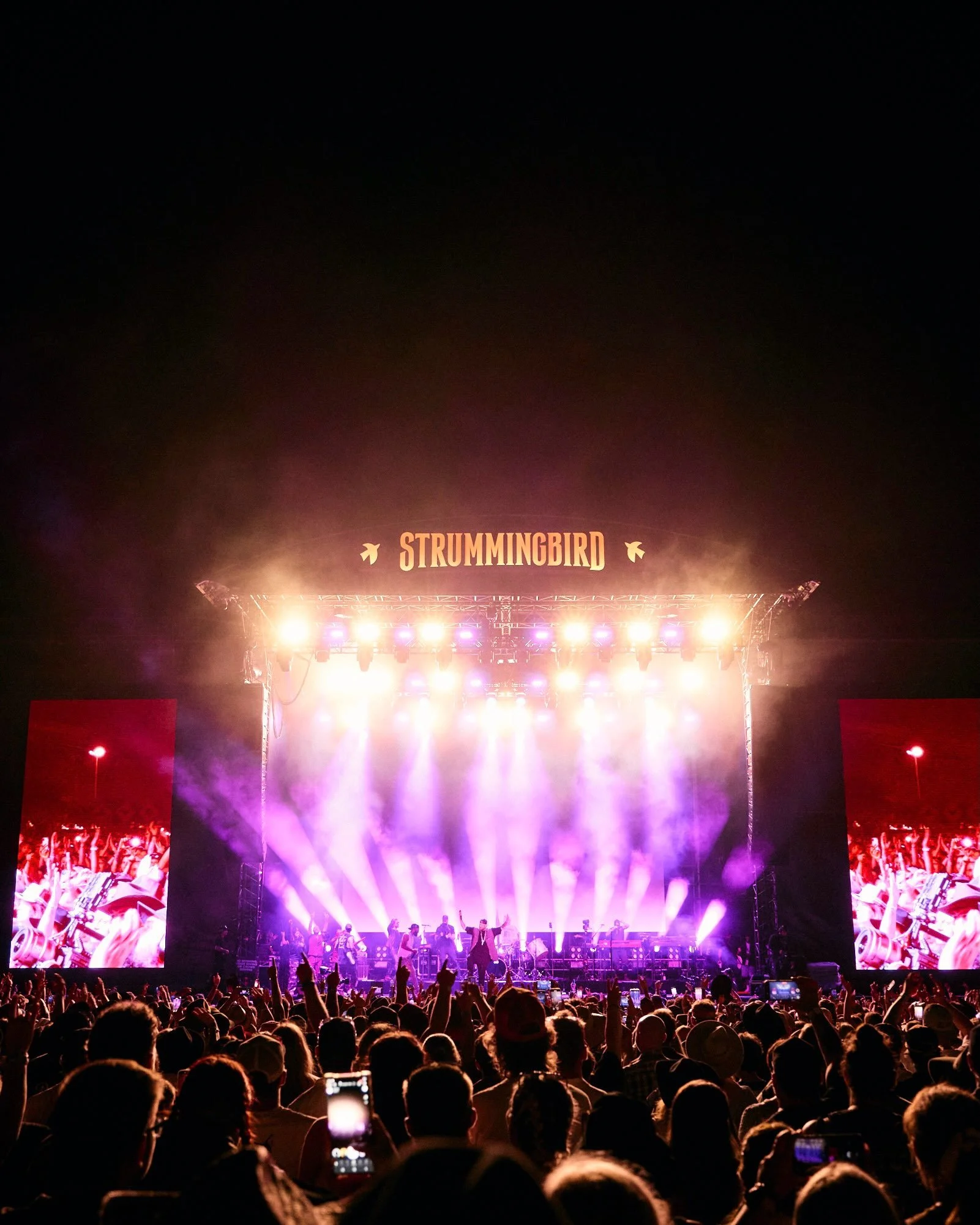 @strummingbirdfestival adds @sambarber_music @timmytychilders &amp; @jamesjohnstonmusic to the lineup. 

Post Malone has postponed his upcoming Australian tour dates