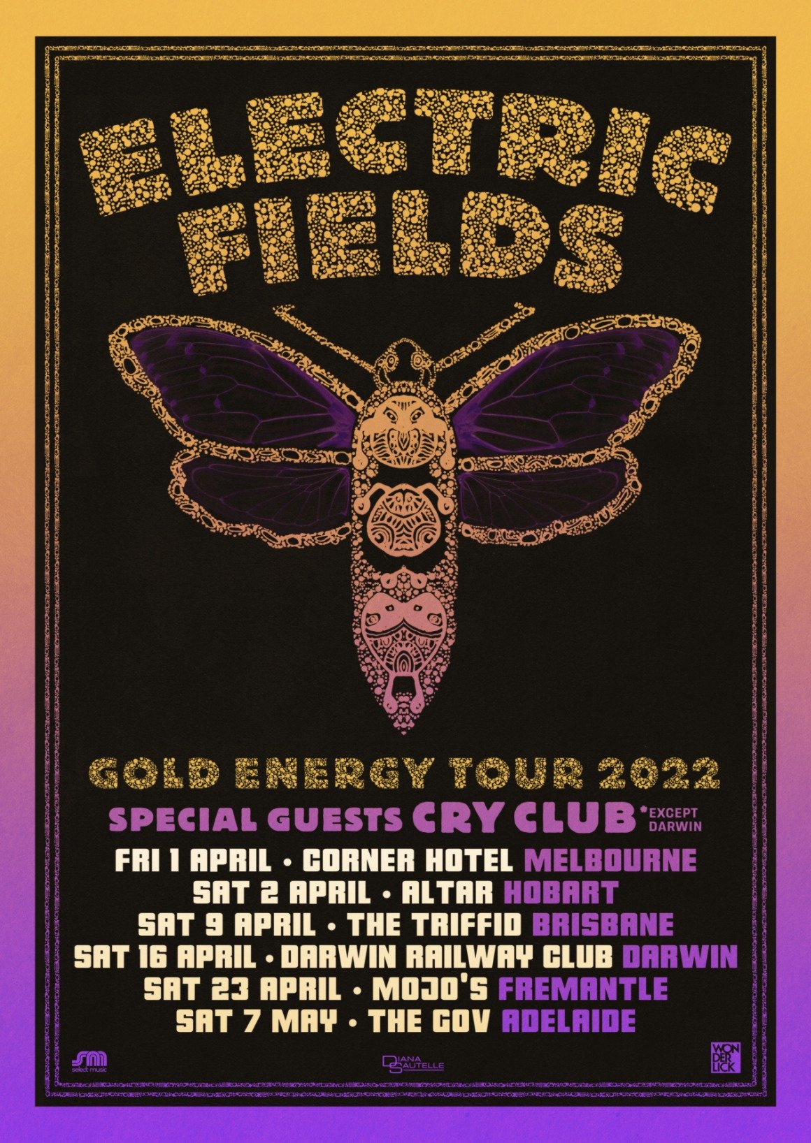 electric fields tour