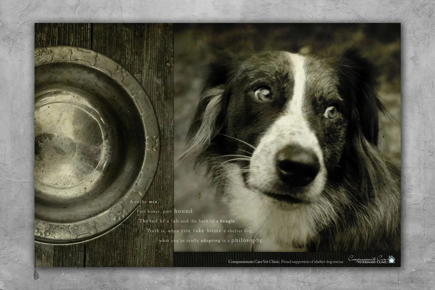 bohan | Compassionate Care Veterinary Clinic print