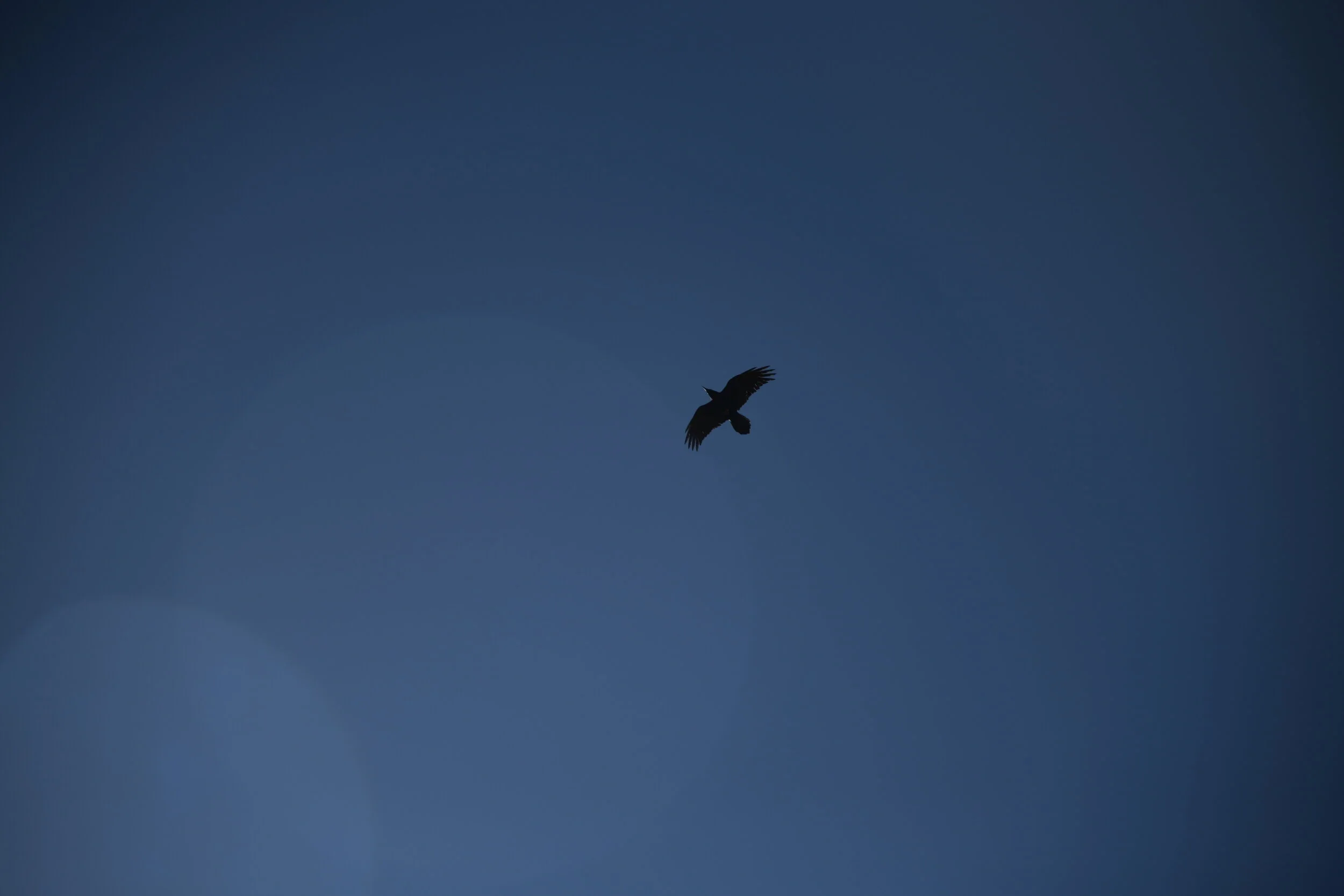 DSC_7719.JPG
