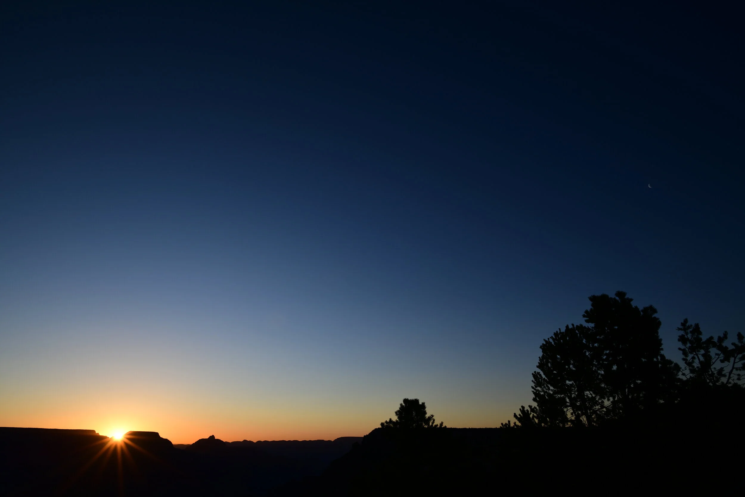 DSC_7797.JPG