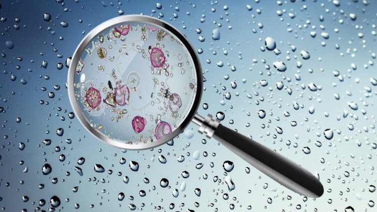 Metagenomic environmental sampling of Rave bioaerosols