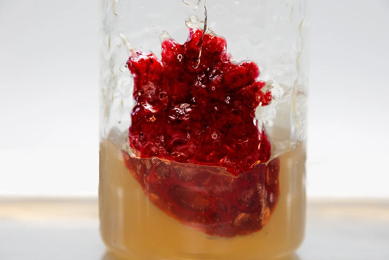 3d printed tpu scaffold coated in polymer hydrogel