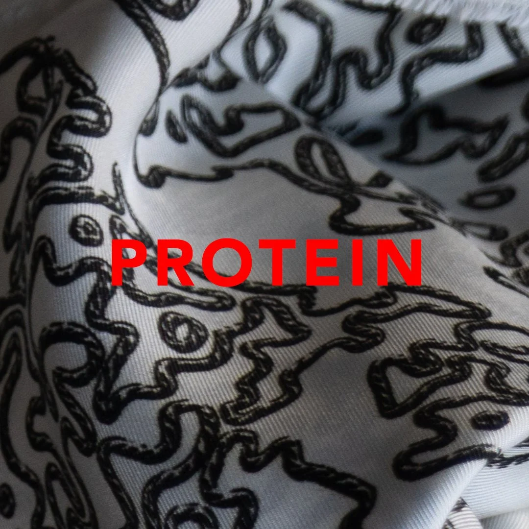 Protein01_Labeled.jpg