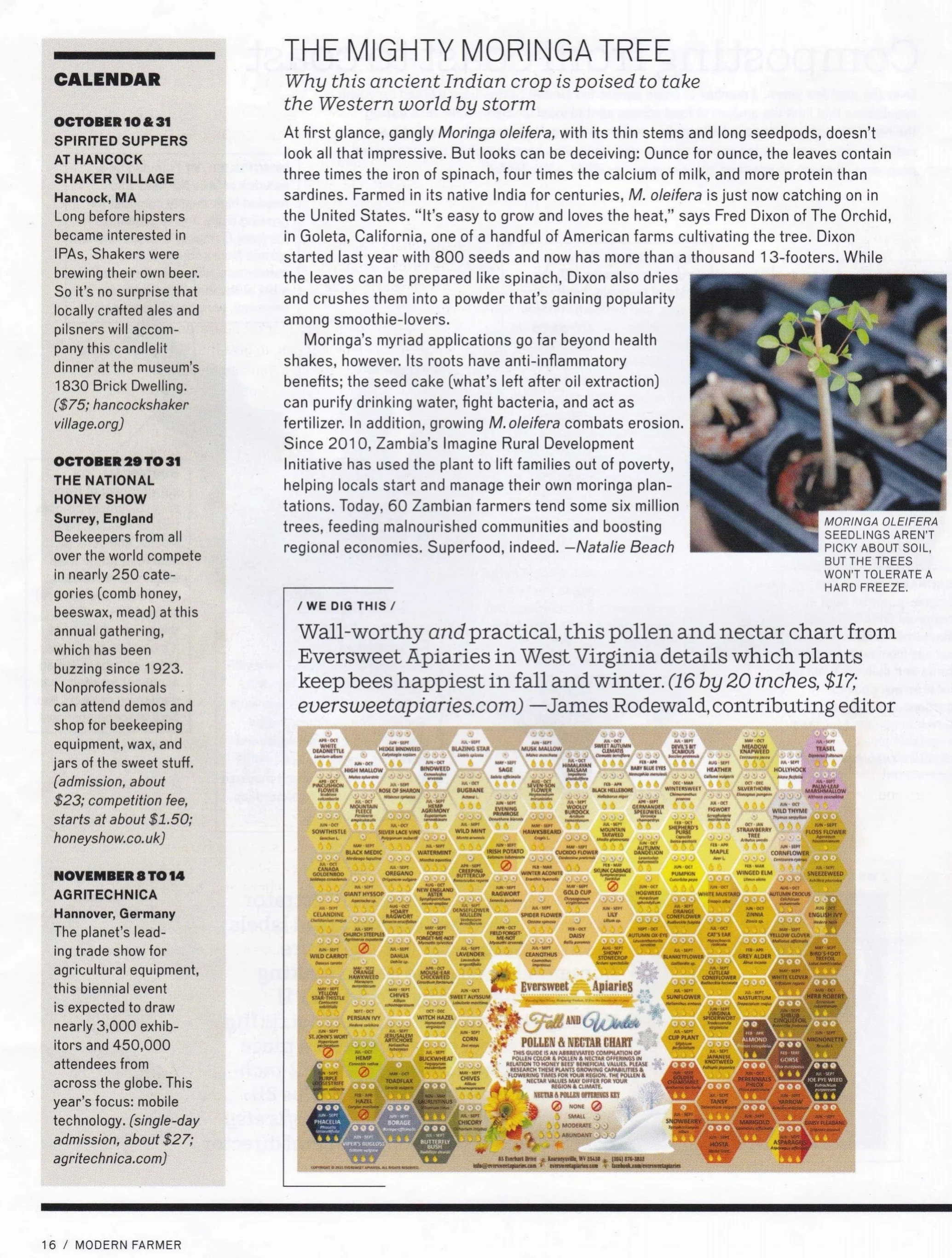 Modern Farmer-page-001.jpg