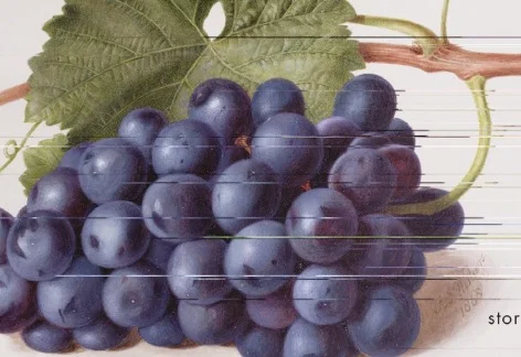 Screen Shot 2019-09-09 at 7.22.46 PM.jpg