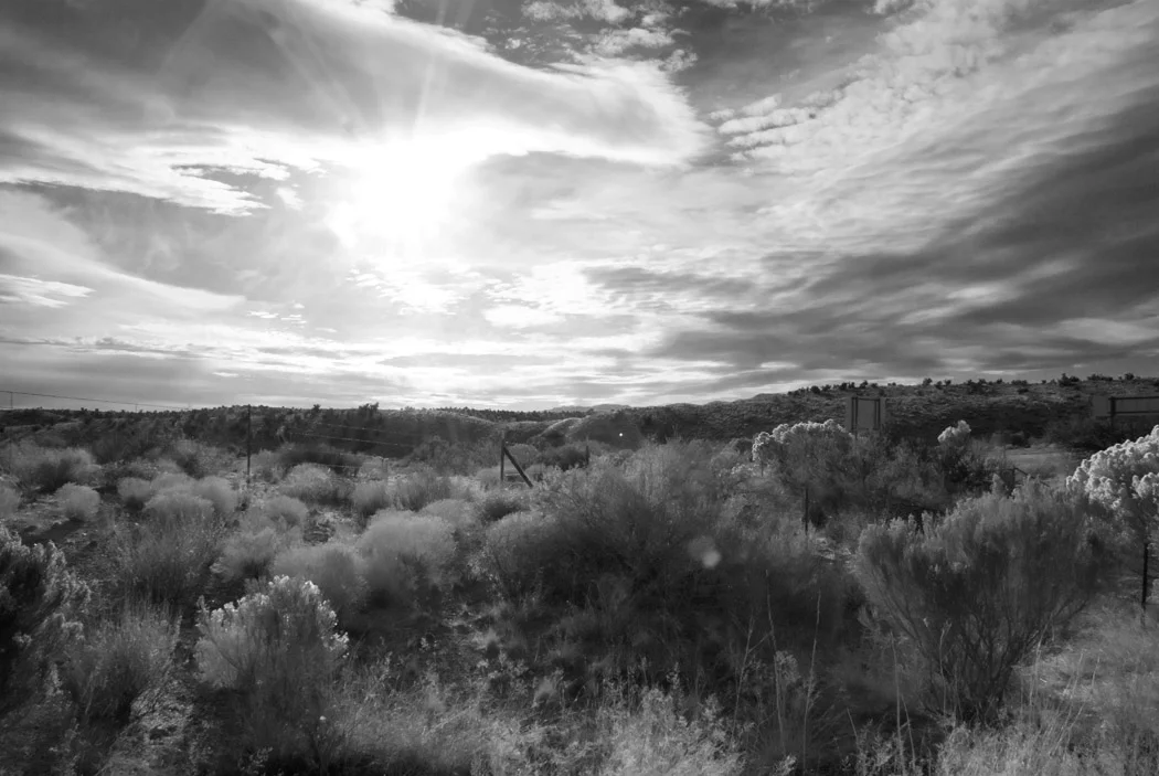 copyrightAM09_roadtrip_50_o.jpg