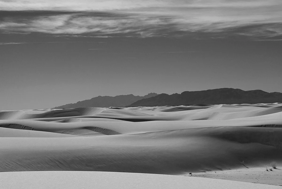 copyrightAM11_WSDNP_0110_02BW_o.jpg