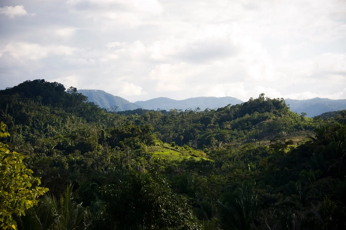 copyrightAM12_0409_belizejungle_19_o.jpg