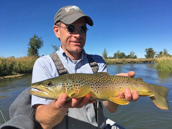 big brown trout.jpg