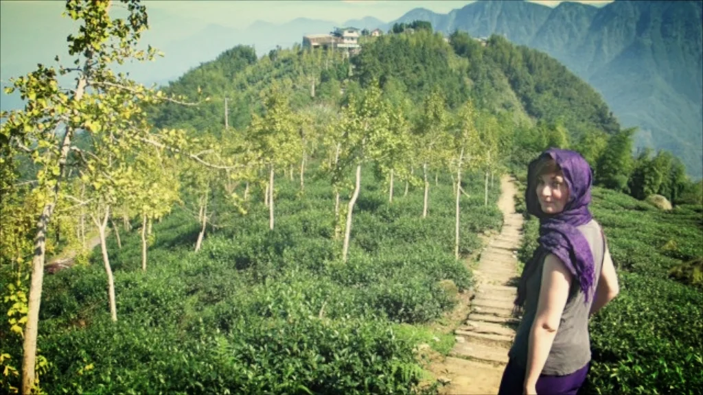 "I don't regret a single investment I made in my tea business when it comes to learning through travel!" (Lindsey in San Lin Xi, Taiwan, 2011)
