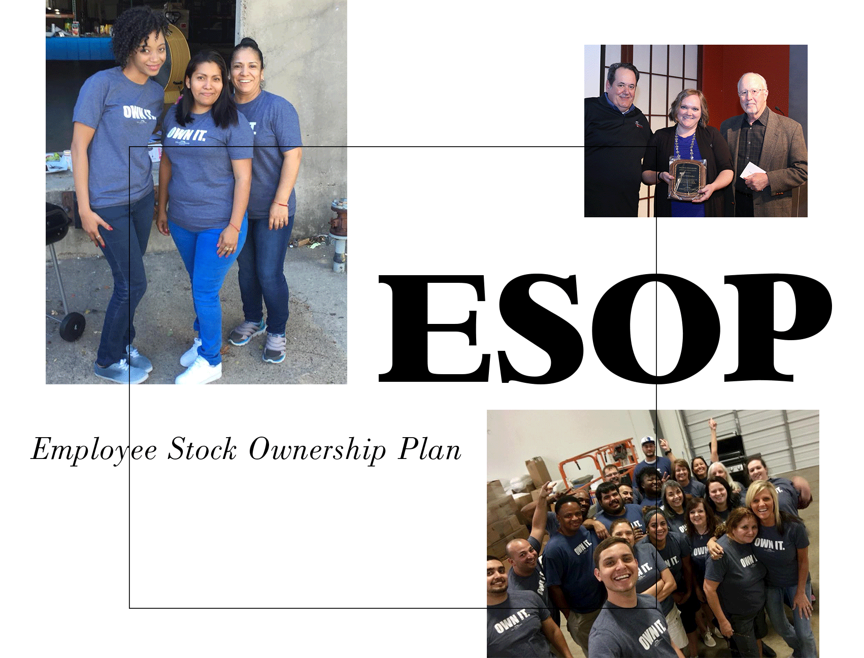 OUR ESOP — Transitions Group